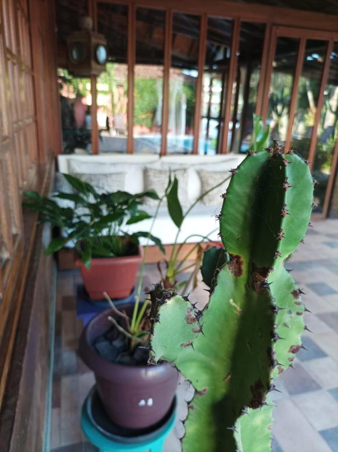 Casa De Ioio Arraial Bed & Breakfast ปอร์โตเซกูโร ภายนอก รูปภาพ